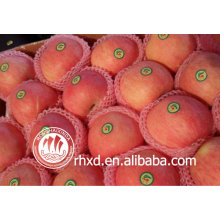 manzana roja fuji